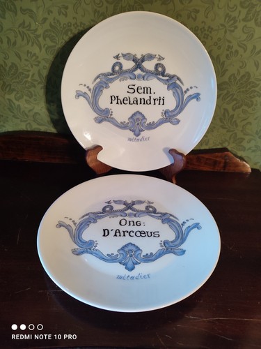 Assiettes la collection - la,